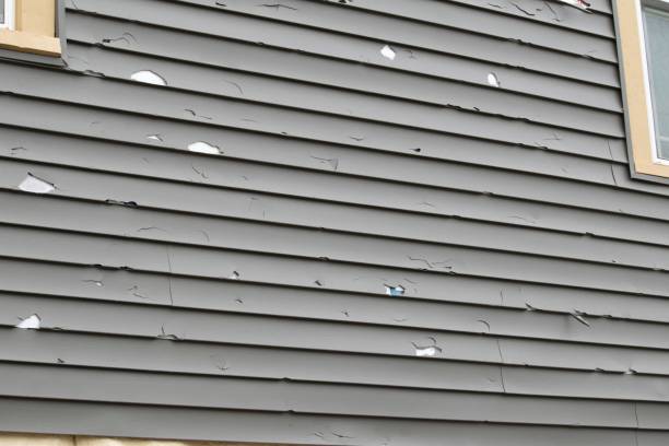 Affordable Siding Repair and Maintenance Services in South Blooming Grove, NY